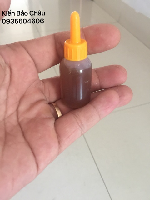 ( không nhãn ) combo 1000 lọ không nhãn thuốc diệt kiến gián sinh học Bảo Châu