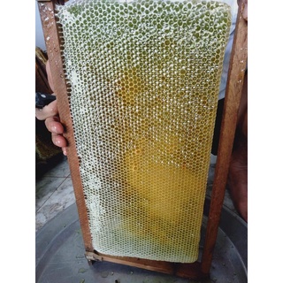 Mật ong vườn nhà nguyên chất 100%