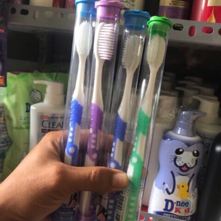 1 CÂY BÀN CHẢI SURE/PLUS THÁI LAN