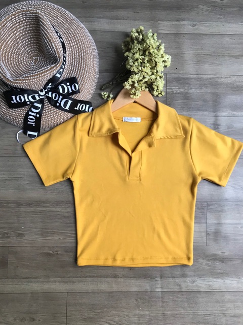 ÁO CROPTOP CỔ TRỤ POLO | WebRaoVat - webraovat.net.vn