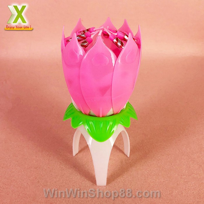 Nến sinh nhật nở hoa và phát nhạc - Winz.vn