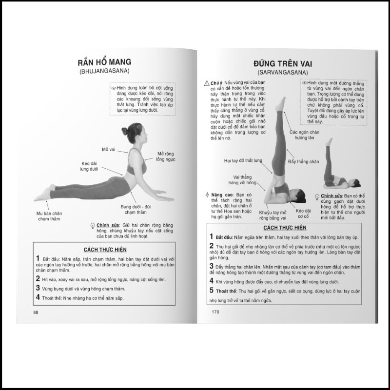 [Mã BMBAU50 giảm 7% đơn 99K] Sách - Hướng dẫn khởi động và 200 tư thế Yoga từ cơ bản đến nâng cao