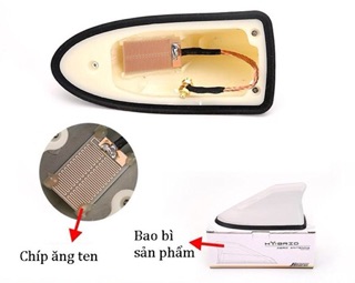 ĂnTen Vây Cá Mập Có Gioăng Trang Trí