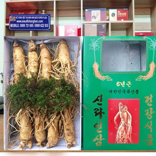 Nhân sâm củ tươi xách tay Hàn Quốc 8 củ/kg