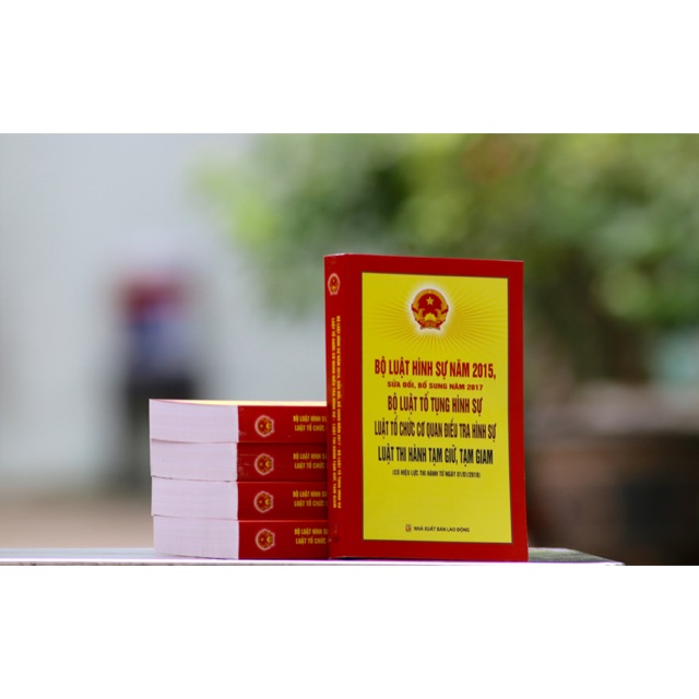 Sách - Bộ luật hình sự 2015 (sửa đổi 2017)- tố tụng hình sự-tổ chức cơ quan điều tra hình sự- thi hành tạm giữ | BigBuy360 - bigbuy360.vn