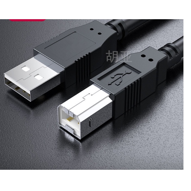 Dây cáp USB máy in Canon 2900 HP 1020 HP 1006 HP 1102