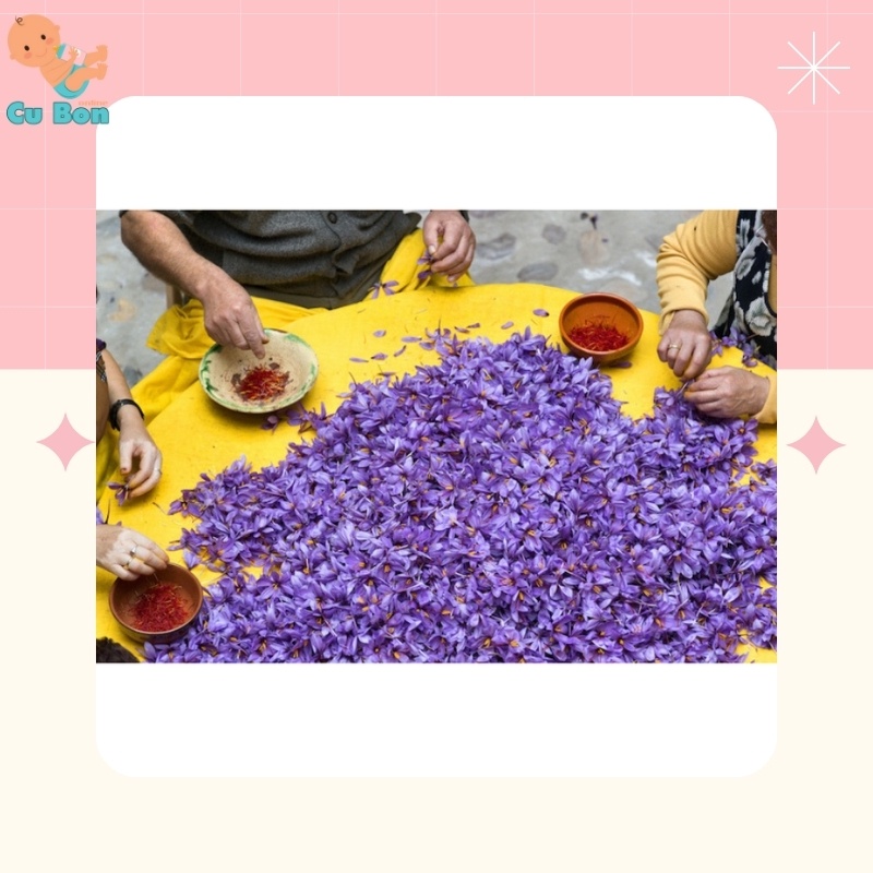 [Hàng Loại 1] Saffron Nhuỵ Hoa Nghệ Tây Loại 1 Hàng Đức Nội Địa Tiêu Chuẩn Châu Âu 1 Gram/ Túi Chất Lượng Cao