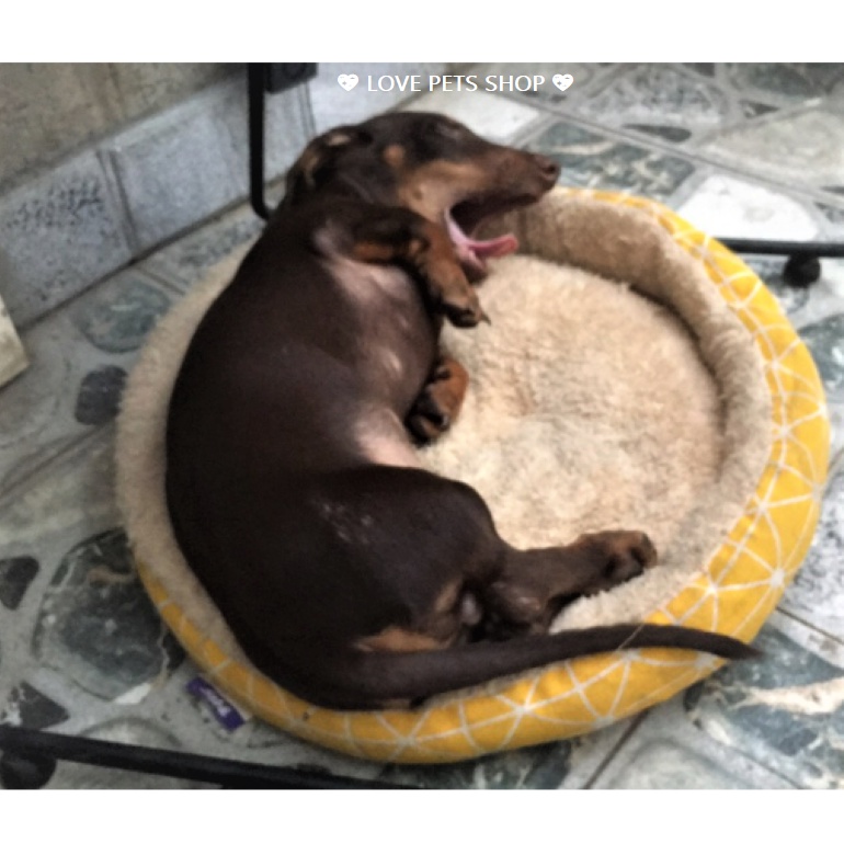 NỆM NẰM CHO CHÓ MÈO, ĐỆM TRÒN LÓT LÔNG BỌC VẢI VIỀN - LOVE PETS SHOP