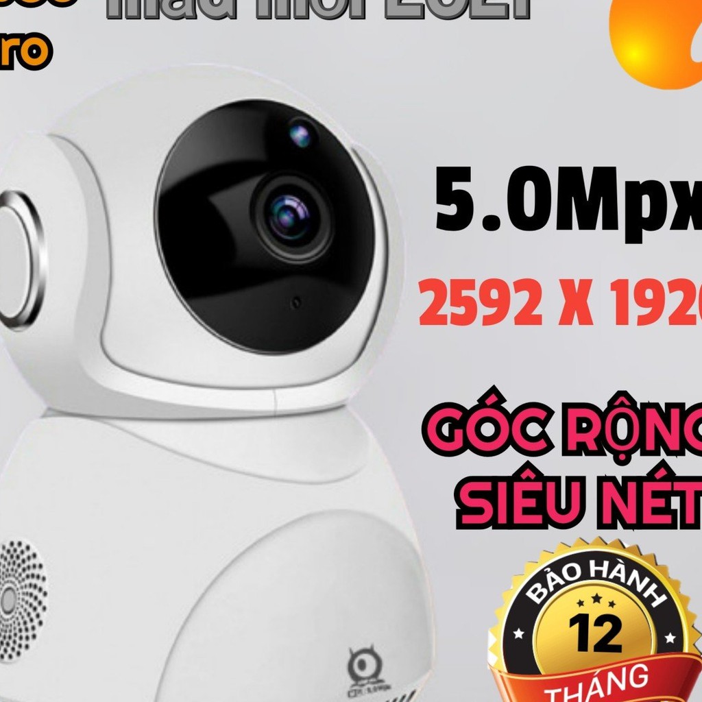 giaydep999999