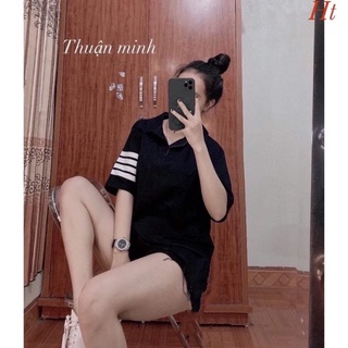 Áo polo 4 vạch tay