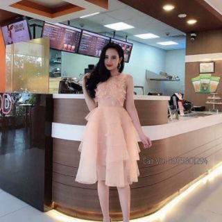 Đầm công chúa