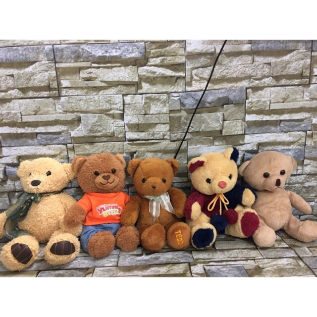 Set teddy nâu 5 con