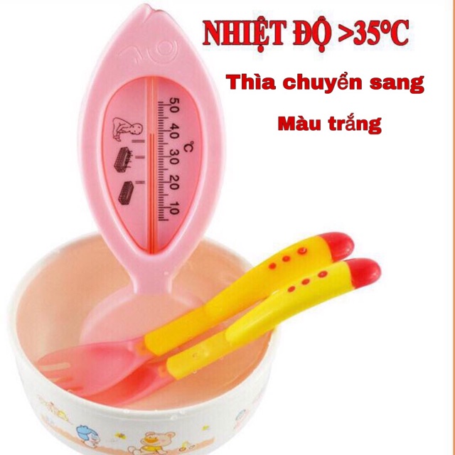 THÌA ĂN DẶM BÁO NÓNG