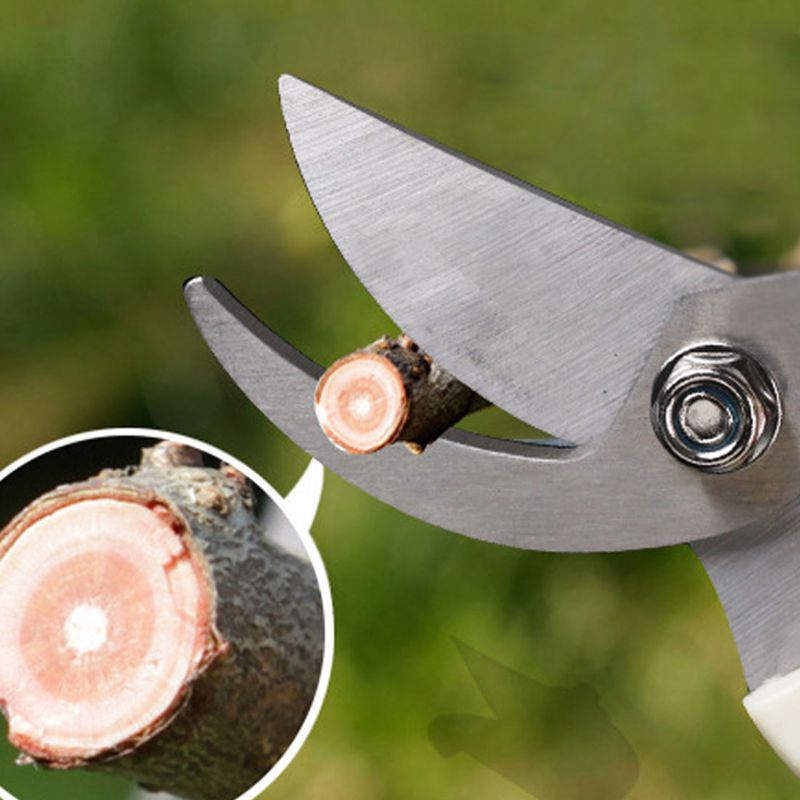 Kéo tỉa cây bằng thép không gỉ chống trượt tiện dụng cho gia đình