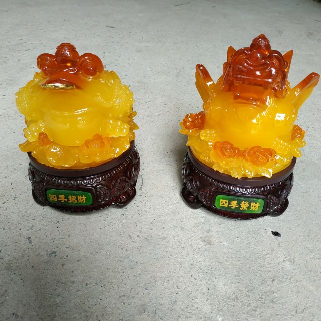 Cóc kỳ ngọc các màu cỡ đại ( giá 1 cặp )