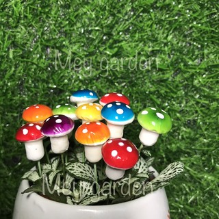 Nấm xốp tiểu cảnh