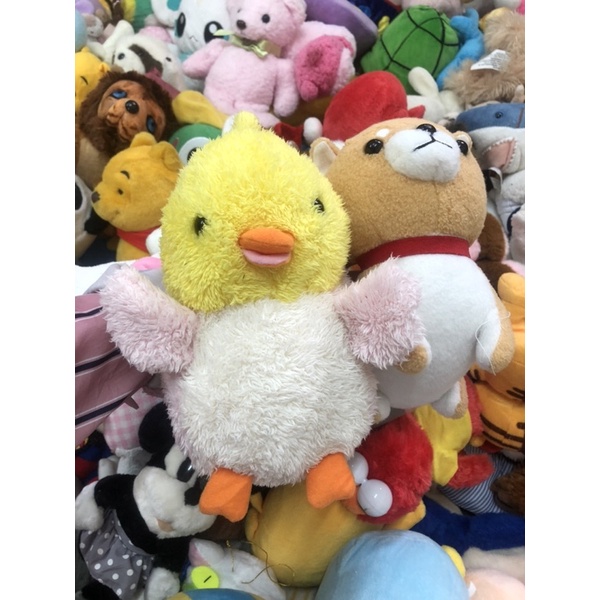 Gấu bông size 17-22cm 50con