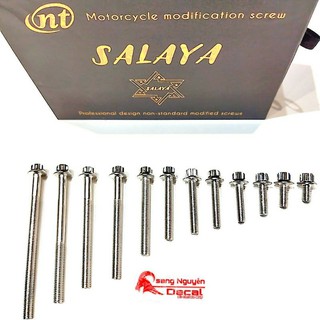  ốc 6li10 6li20 6li30 6li40 đầu trụ lốc máy Salaya inox 304
