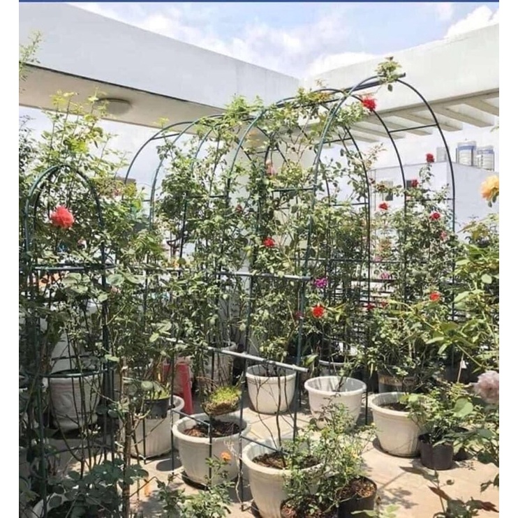 Khung vòm cho hoa hồng leo, cây trang trí rộng 1,4m cao 2,4m, ống 13mm