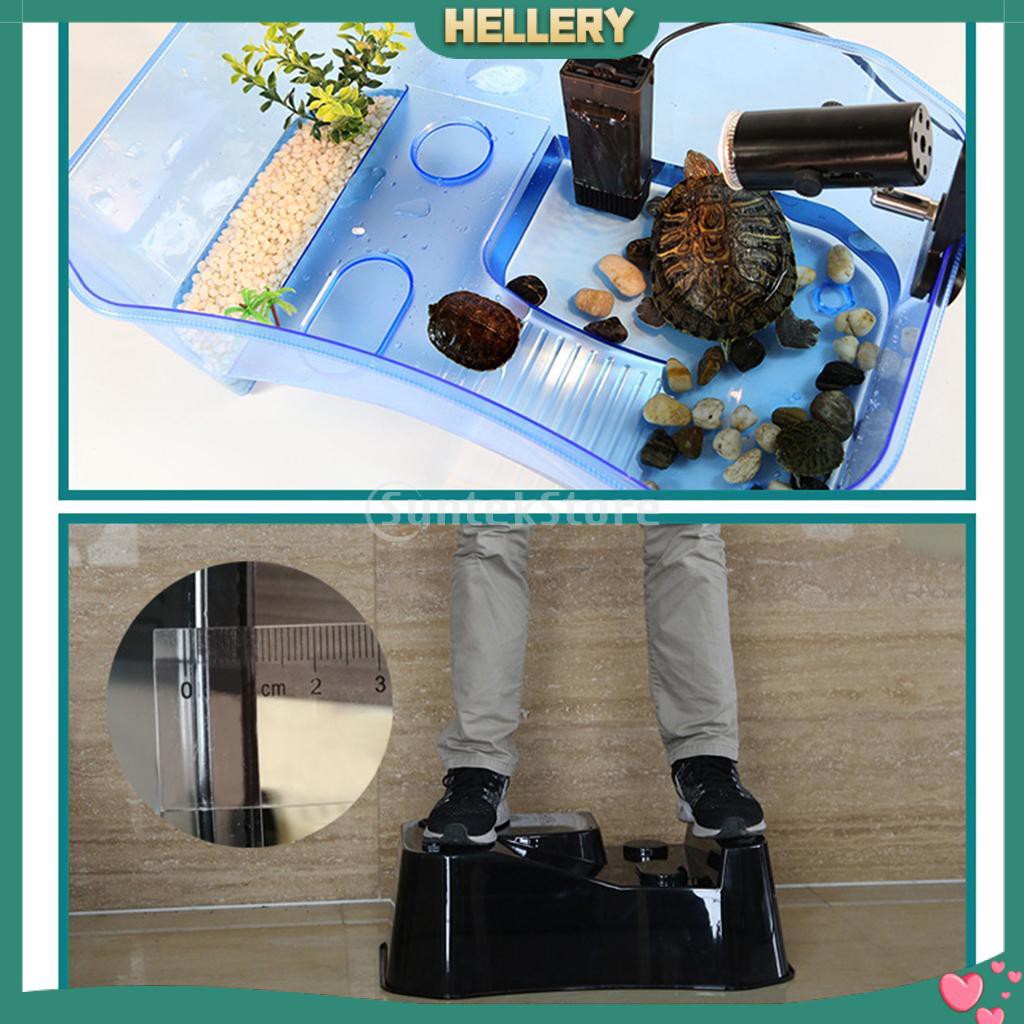 Hộp Nuôi Rùa / Bò Sát Bán Trong Suốt Tiện Dụng
