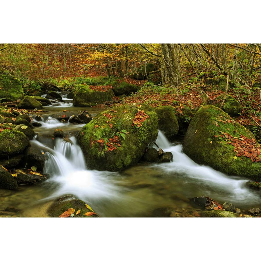 Tranh 3D phong cảnh thác nước chảy, sông suối nên thơ