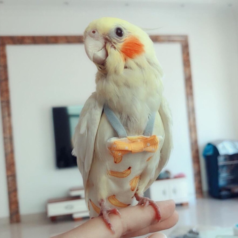 Tã vải cho chim vẹt nhiều kích cỡ và họa tiết đáng yêu