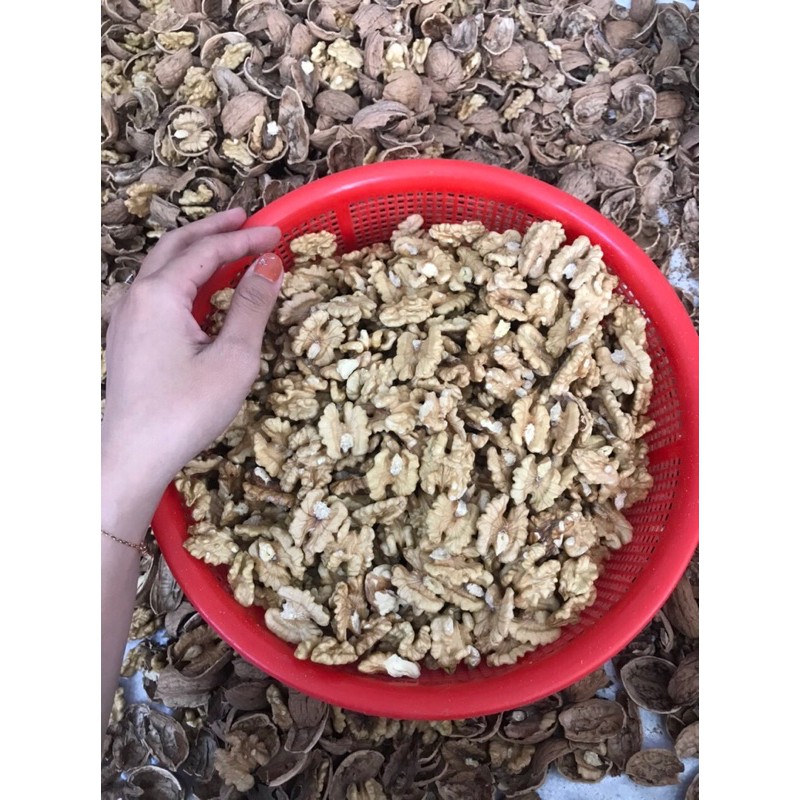 500GRAM ÓC CHÓ VÀNG MỸ CHUẨN LOẠI 1 | BigBuy360 - bigbuy360.vn