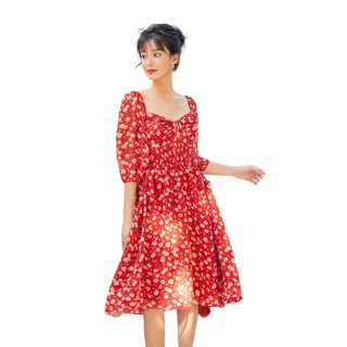 Olv - đầm hoa reed fleur dress