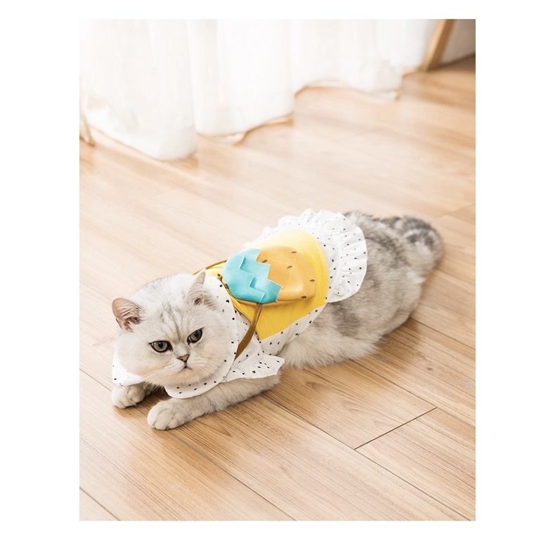 Áo Váy kèm túi hình dưa hấu/dứa xinh xắn cho thú cưng - Quần áo cho chó mèo