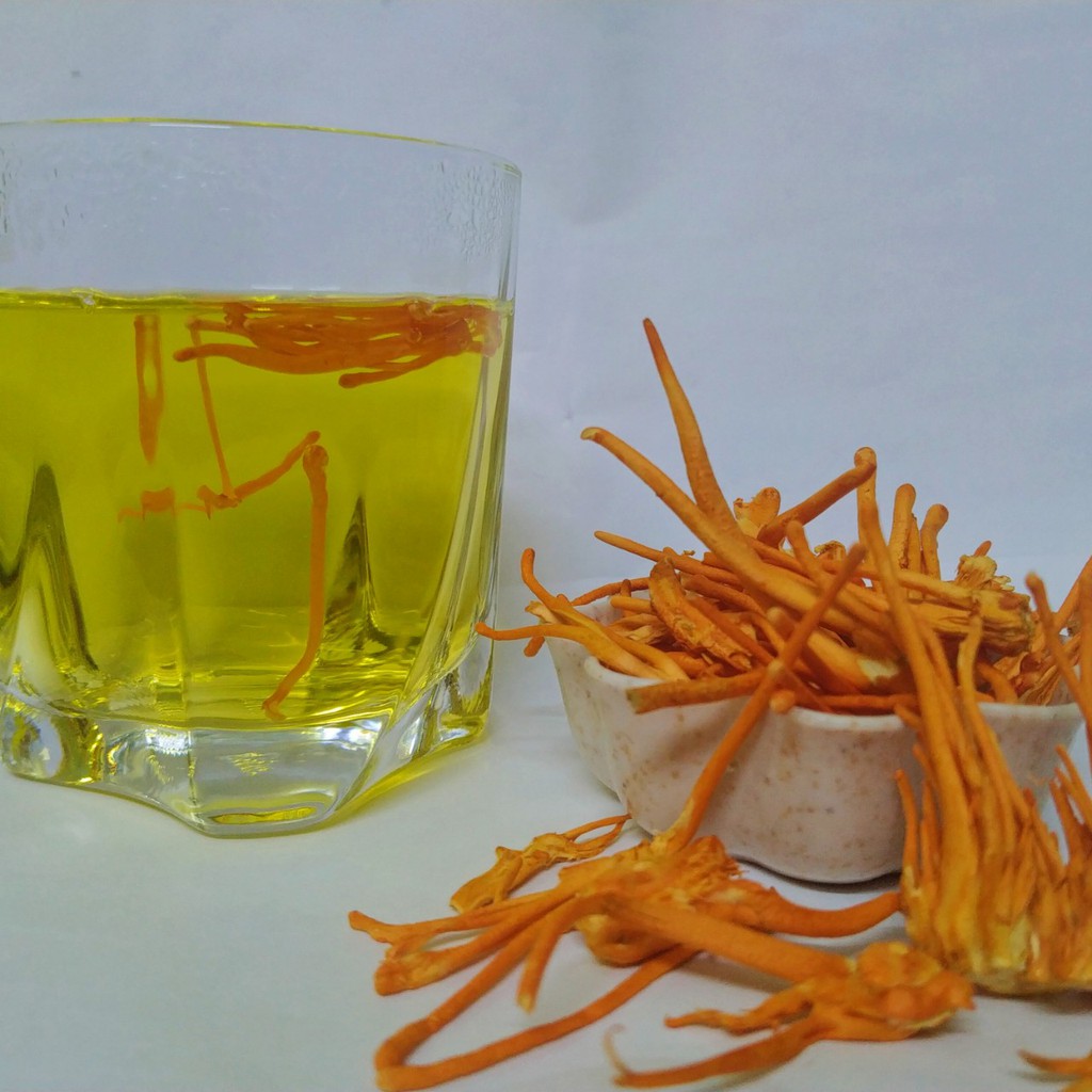 Nấm đông trùng hạ thảo khô - Đông trùng hạ thảo sấy thăng hoa