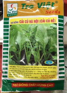 ☘ Hạt giống Cải củ Hà Nội ✅