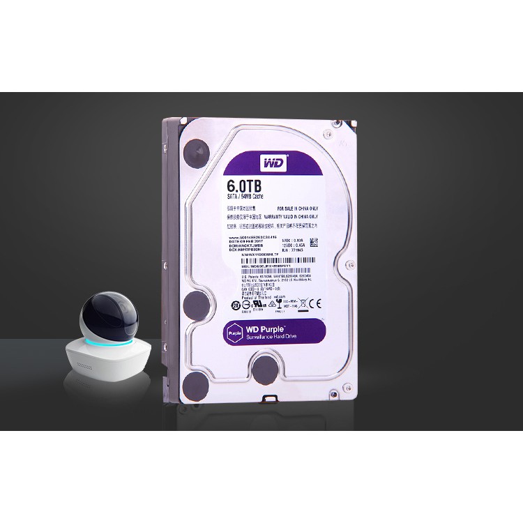 Ổ cứng 6TB Purple, chuyên dụng chạy 24/24 | WebRaoVat - webraovat.net.vn