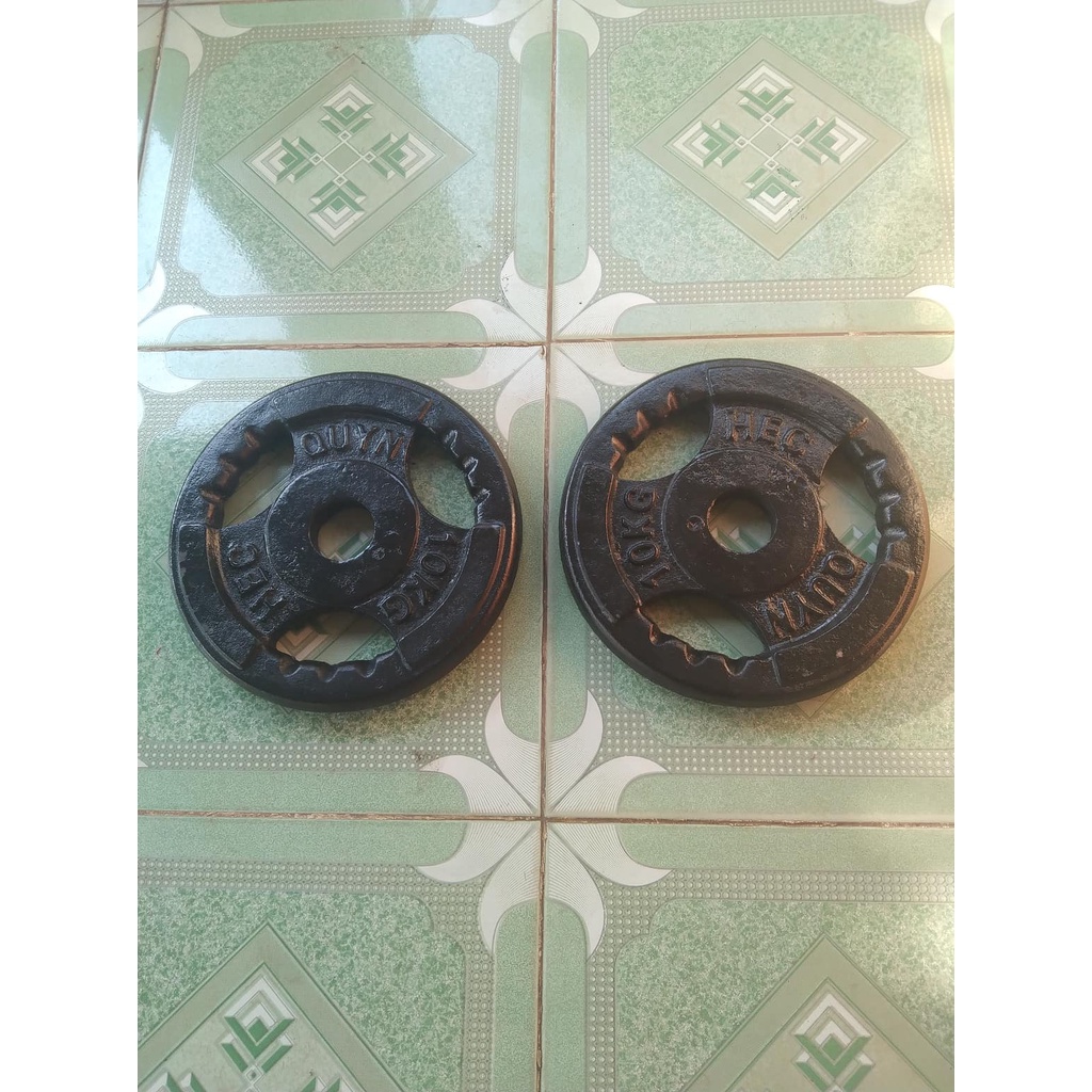 2 Viên Tạ Bánh 10kg Lỗ To Phi 50 Gang Đúc