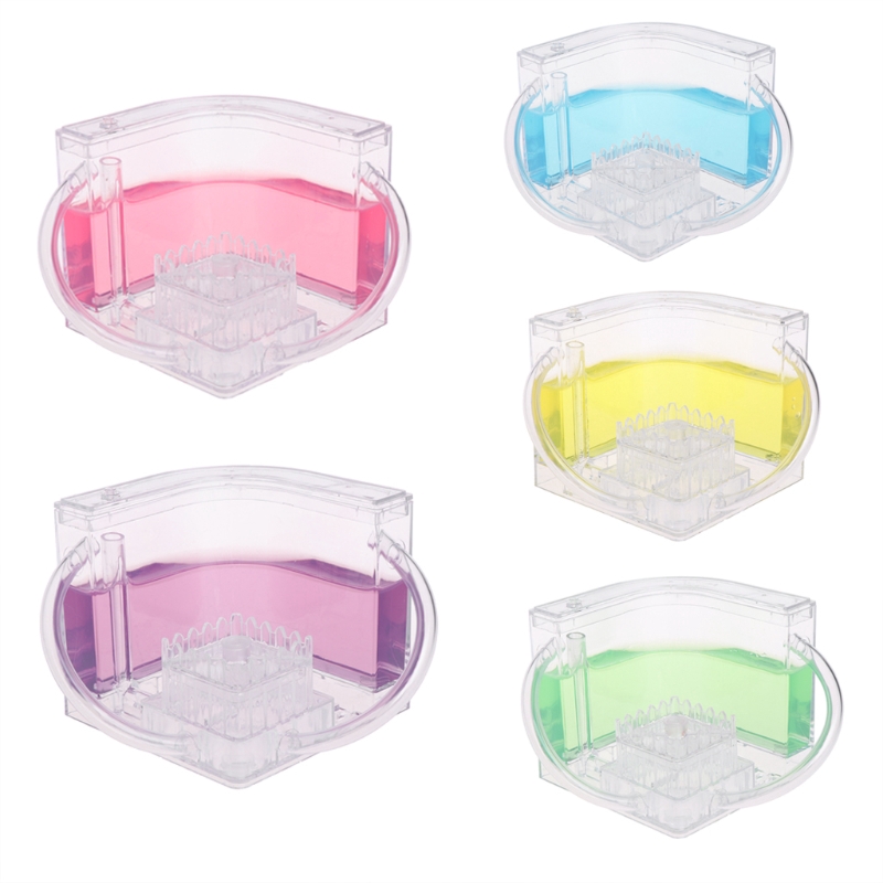 Hộp nuôi kiến thiết kế 3D độc đáo