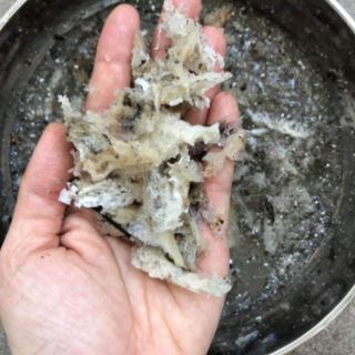 Mặt nạ ngủ yến tươi