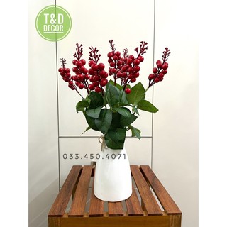 Cụm sơ ri nhiều quả+ Lọ thắt nút