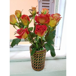 Cốc cói đa năng