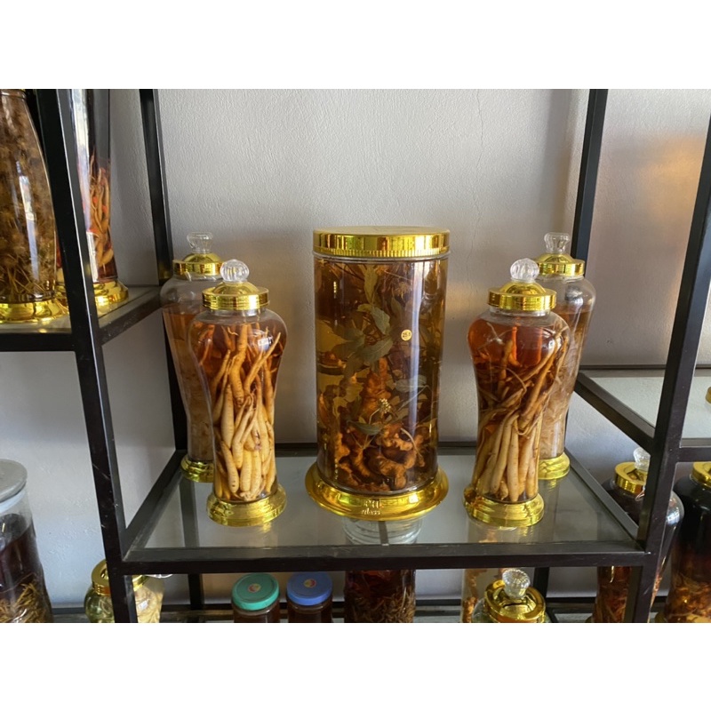 1kg Sâm dây Ngọc Linh tươi hàng chọn - ĐẢM BẢO CHẤT LƯỢNG 100% - DƯỢC LIỆU HÀ HOÀNG