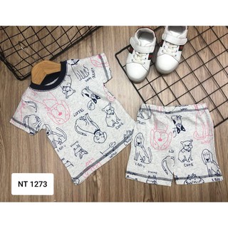 Set đồ bộ Carter's cho bé Trai