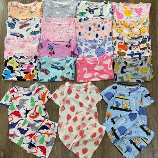 Bộ cotton sợi tre