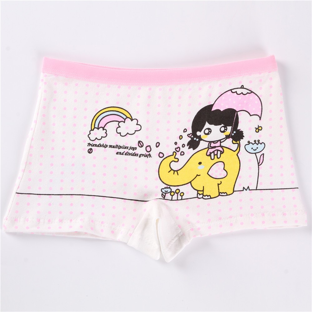 4 pieces / lot kids Underwear 2-12Y Children's underwear Soft cotton panties Underwear underneath Cute clothes Cartoon Panties for girls