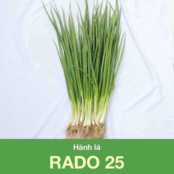 (Hạt Giống) Hành Lá Rạng Đông Rado 25  (1 gói/2.5g)