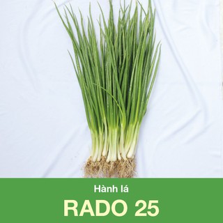 Gói 2,5g Hạt Giống Hành Lá Rạng Đông RADO 25 Cao Sản, Thơm Ngon, Dễ Trồng