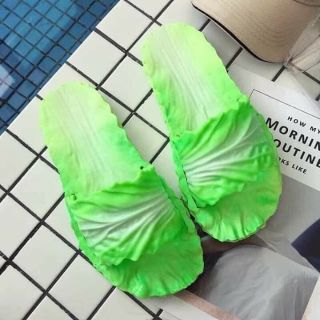 DÉP BẮP CẢI THÁI LAN