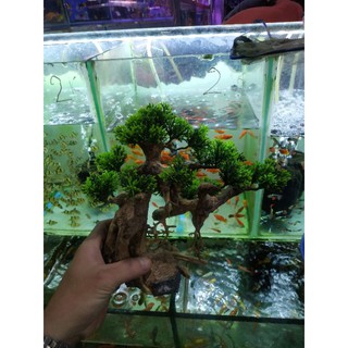 🌲 Gỗ Lũa Bonsai Trang Trí Thủy Sinh [Gỗ Lũa Thật Gắn Lá Nhựa]