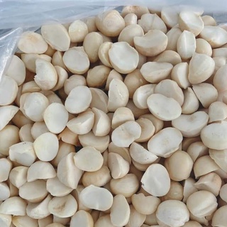Hạt Macca Đak lak