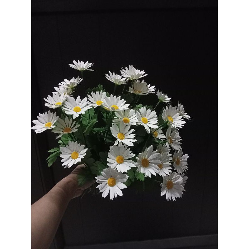 cành hoa cúc hoạ mi20k /10 cành