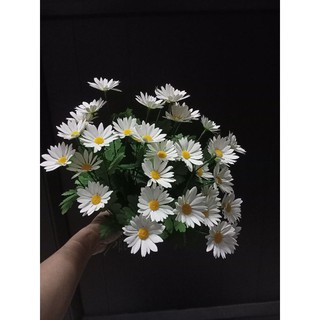 cành hoa cúc hoạ mi20k /10 cành