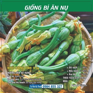 Hạt giống Bí ăn nụ TN