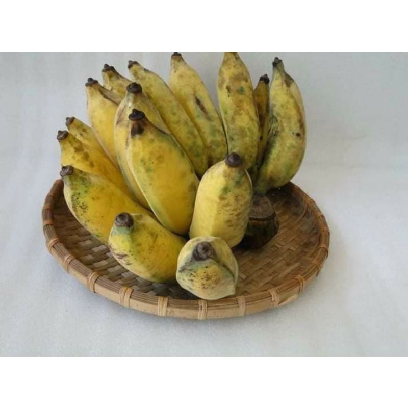 chuối siêm ( 1 ký )